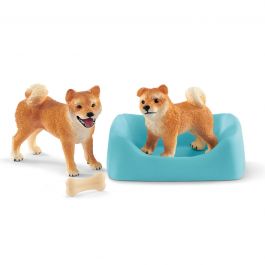 Shiba Inu Mother and Puppy