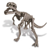 Dig A T Rex Skeleton