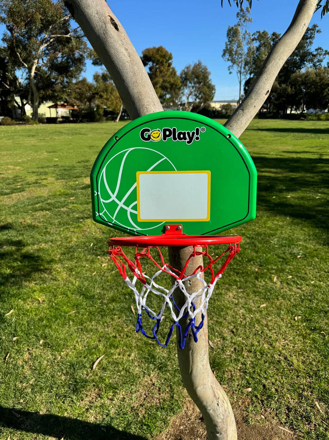 Everywhere Basketball Board Set