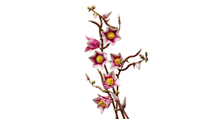 LEGO 11510 Botanicals Magnolia Branches
