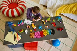 LEGO 11045 Classic Creative Colourful Bricks