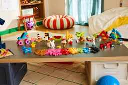 LEGO 11045 Classic Creative Colourful Bricks