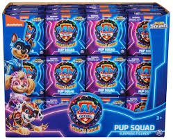 PAW PATROL THE MIGHTY MOVIE PUP SQUAD SURPRISE FIGURE