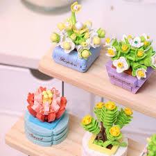 Koco  1001 CDU12 Assorted Succulent Potted Plants