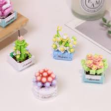 Koco  1001 CDU12 Assorted Succulent Potted Plants