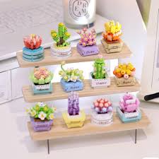 Koco  1001 CDU12 Assorted Succulent Potted Plants