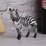 Zebra Foal (New)