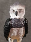 Schleich Harpy Eagle