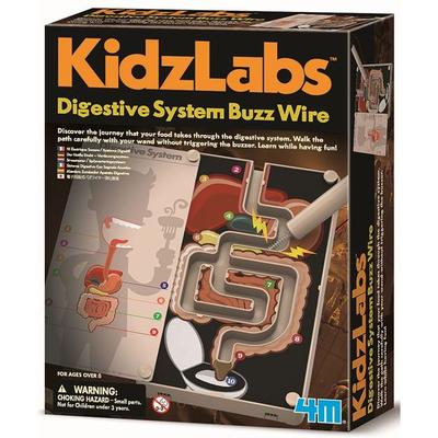 Kidz Lab Digestive System Buzz Wire