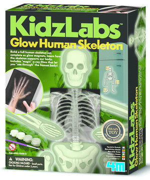 4M KidzLabs - Glow Human Skeleton 703375