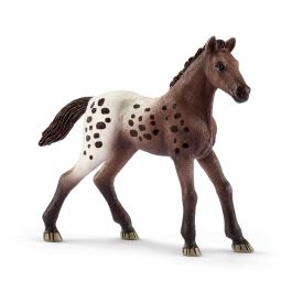 Appaloosa Foal -13862