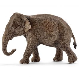 Asian Elephant Female - 14753