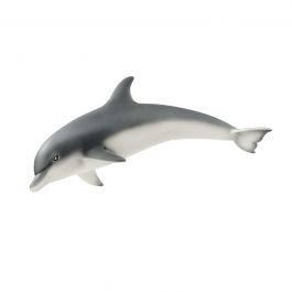 Dolphin (New)