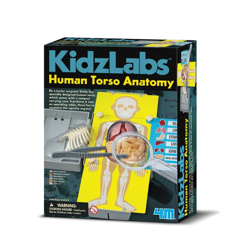 KidzLabs - Human Torso Anatomy