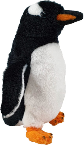 Gentoo Penguin (No Sound)