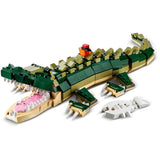 Crocodile - 31121