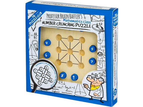Professor Puzzle Number Crunching Puzzle 14160