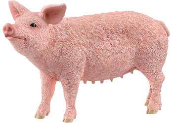 Pig (New)- 13933