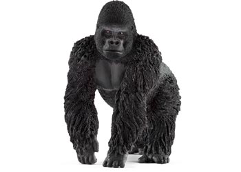 Gorilla Male
